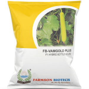 FB-VAMGOLD PLUS F1 HYBRID BOTTLE GOURD SEEDS – 25 GM