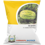 FB-MADHU F1 Hybrid Watermelon Seeds – 25 GM (PACK OF 10)
