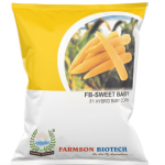 FB-SWEET BABY F1 HYBRID BABY CORN SEEDS – 10 GM