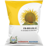 FB-BHASKAR F1 HYBRID SUNFLOWER SEEDS – 500 GM