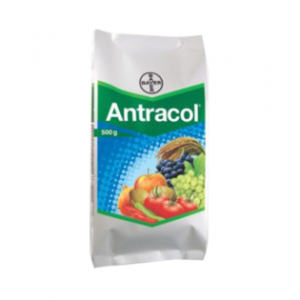 BAYER ANTRACOL, FUNGICIDE, Propineb 70% WP