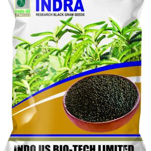 INDO US BLACK GRAM INDRA – 1 KG