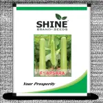 Bottle Gourd – Apsara F1 50GM ( PACK OF 2 )