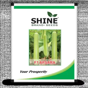 Bottle Gourd – Apsara F1 50GM ( PACK OF 2 )
