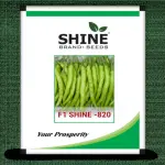 Chilli – Shine 820 F1 Hybrid (Shine Brand Seeds) 10 GM