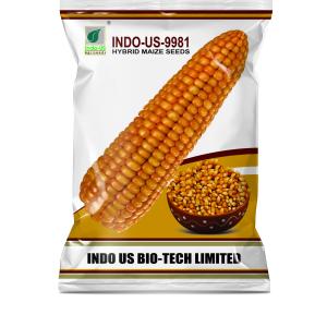 INDO US MAIZE 9981 – 4 KG SC