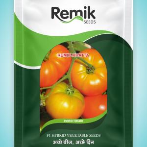 HY.TOMATO REMIK KHATTA 10 GM