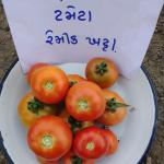 HY.TOMATO REMIK KHATTA 10 GM