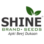 SHINE BRAND SEED