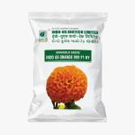 INDO US ORANGE 999 F1 HY MARIGOLD 1000 SEEDS