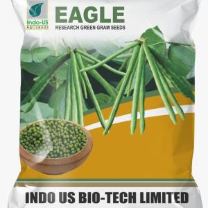 INDO US EAGLE GREEN GRAM – 1 KG